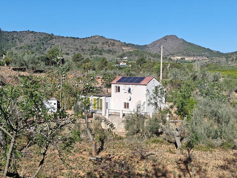 finca-alfondeguilla-te-koop